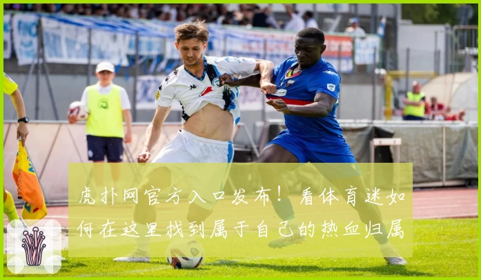 虎扑网官方入口发布！看体育迷如何在这里找到属于自己的热血归属