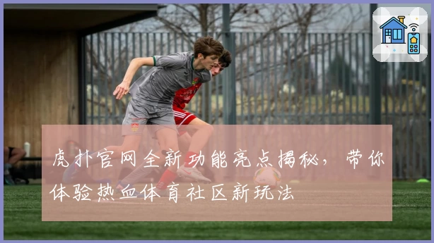 虎扑官网全新功能亮点揭秘，带你体验热血体育社区新玩法