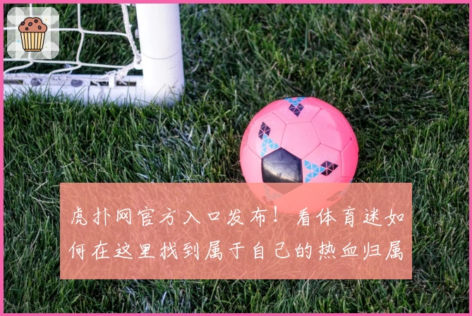 虎扑网官方入口发布！看体育迷如何在这里找到属于自己的热血归属