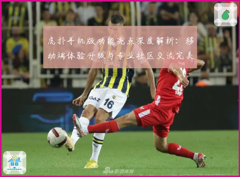 虎扑手机版功能亮点深度解析：移动端体验升级与专业社区交流完美融合